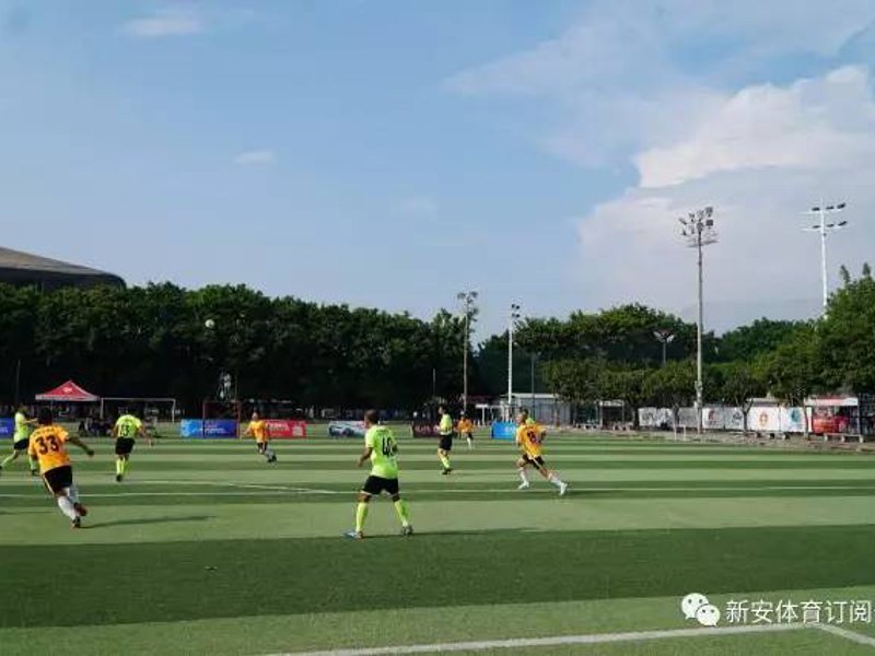 头号玩家龙8介绍